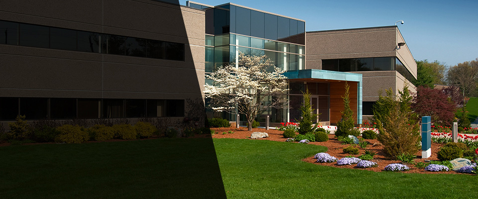 Elk Grove Landscapers