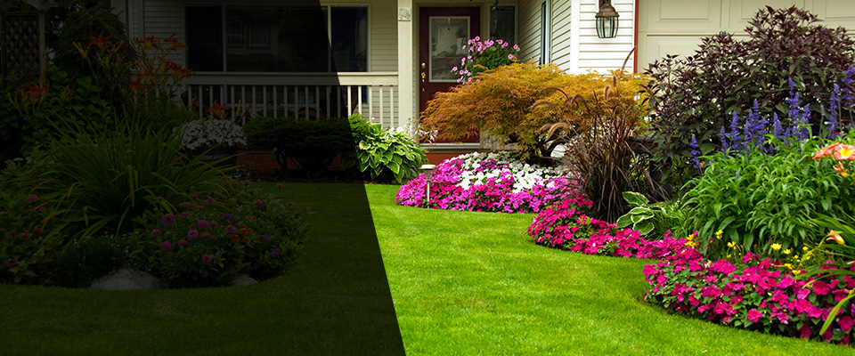 Elk Grove Landscapers
