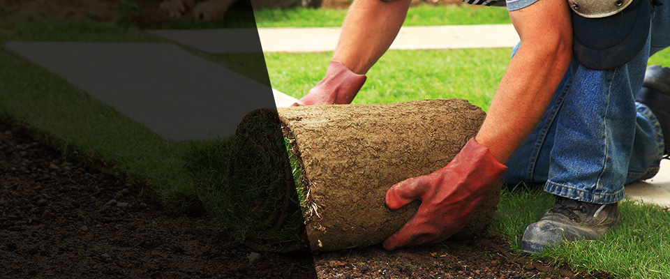 Elk Grove Landscapers